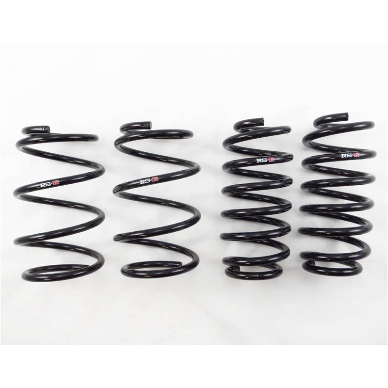 Load image into Gallery viewer, Rs-R T100D RSR Down Sus Springs
