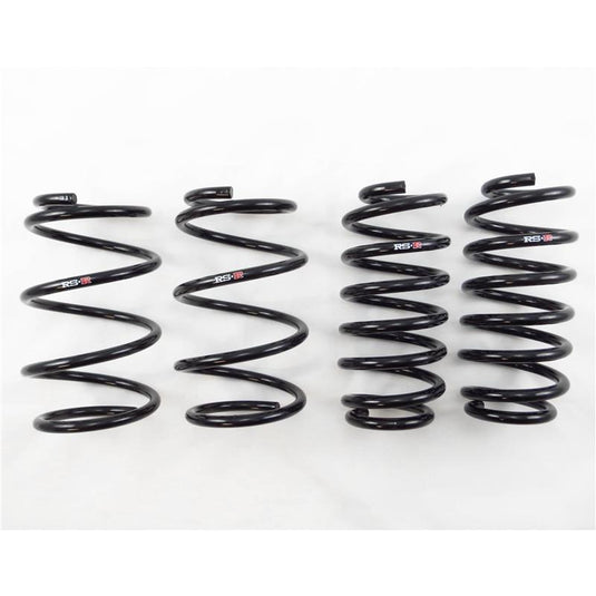Rs-R T100D RSR Down Sus Springs