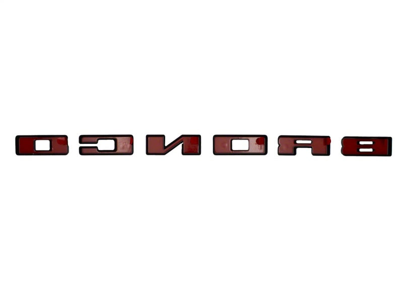 Load image into Gallery viewer, Ford Racing M-1447-BLMB FR Badges
