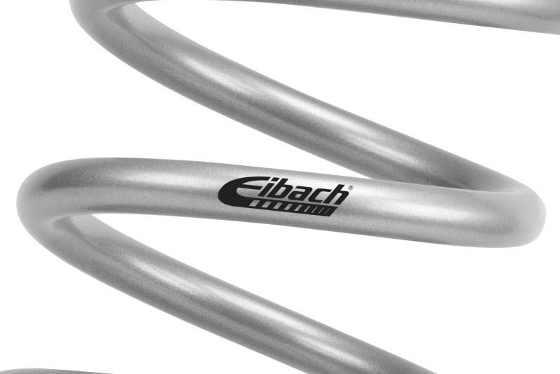 Load image into Gallery viewer, Eibach 1000.375.0300S EIB ERS Springs
