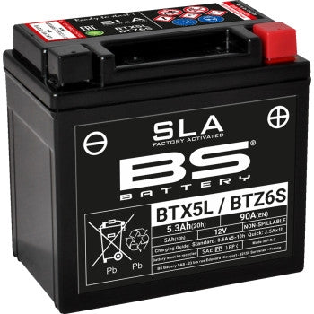 Bs Battery 300670 SLA Factory-Activated AGM Maintenance-Free Battery