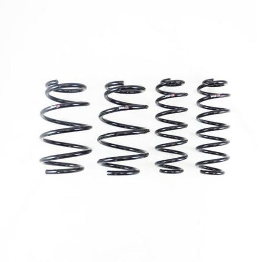 Rs-R T539D RSR Down Sus Springs