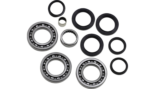Epi WE290125 Differential Bearing and Seal Kit