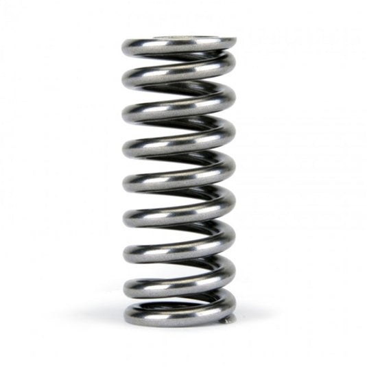 Skunk2 Racing 311-05-1345 SK Tuner Valve Springs