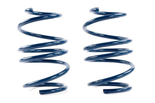 Dinan D100-0939 DNN Coil Springs