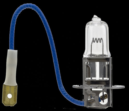 Hella H3 24V HELLA Halogen Bulb