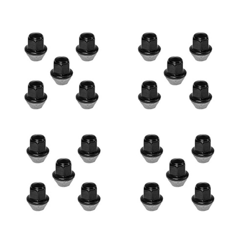 Load image into Gallery viewer, Ford Racing M-1012K-BSB FR Lug Nut Kits
