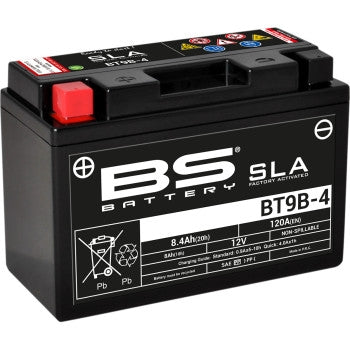 Bs Battery 300642 SLA Factory-Activated AGM Maintenance-Free Battery