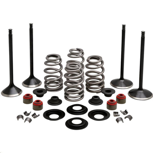 Kibblewhite Precision 20-23150 Engine Valve Kit