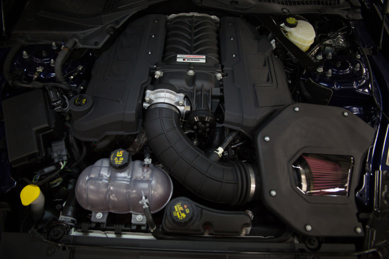 Load image into Gallery viewer, Roush 422161 RSH Coil Covers
