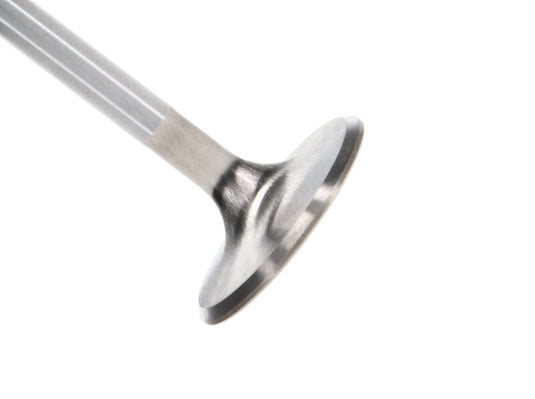 Manley Performance 11616-8 MAN Race Master Valves
