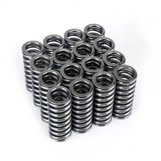 Skunk2 Racing 311-05-1345 SK Tuner Valve Springs