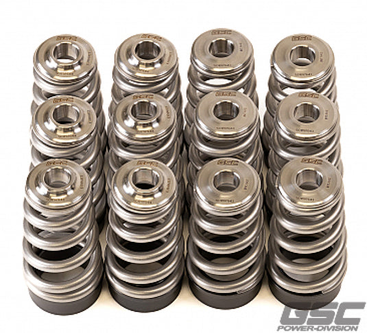 Gsc Power Division 5017 GSC Valve Spring Kits
