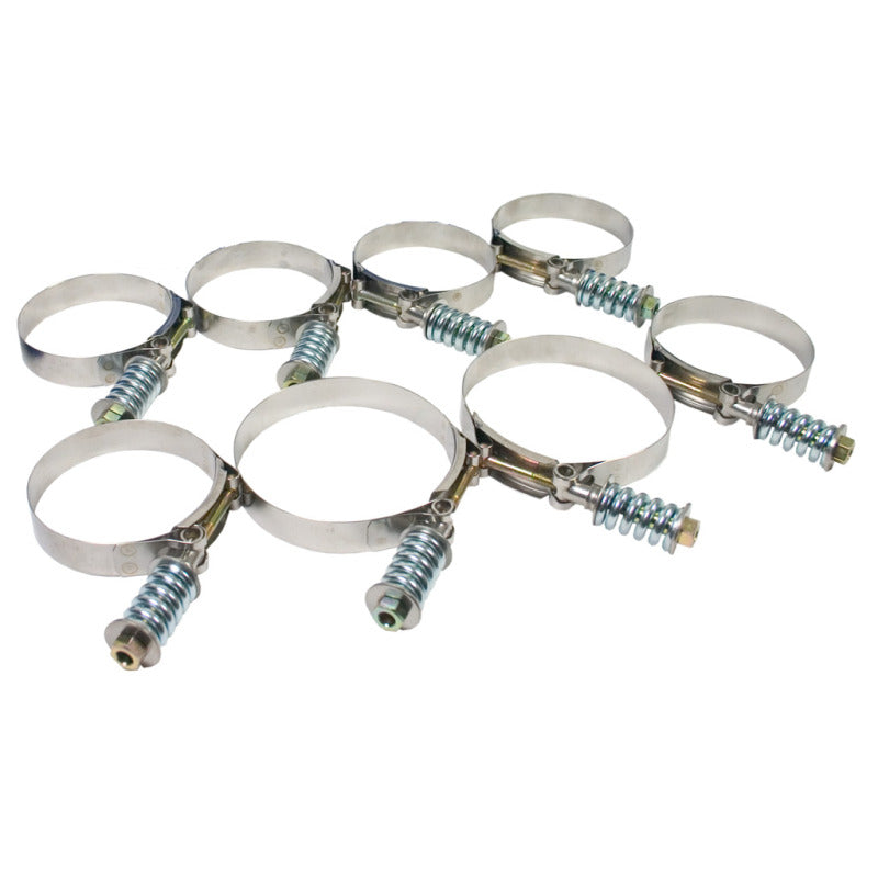 Load image into Gallery viewer, Bd Diesel 1405209 BDD High Torque Hose Clamps
