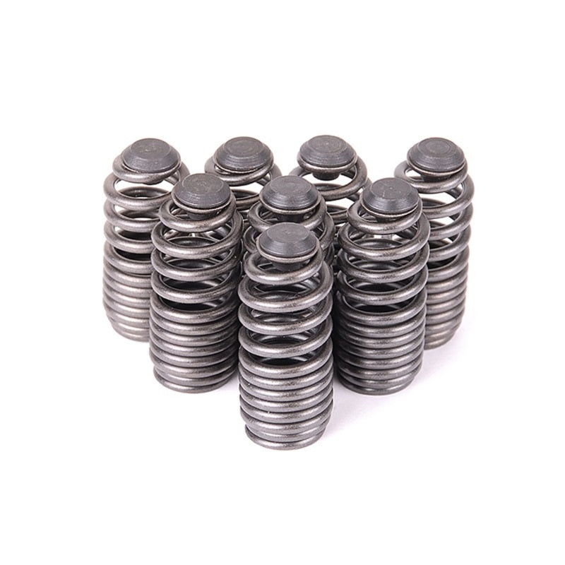 Load image into Gallery viewer, Skunk2 Racing 312-05-0200 SK Tuner Valve Springs
