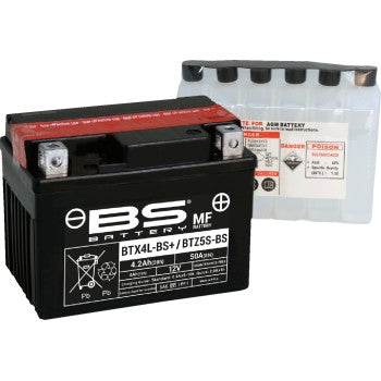 Bs Battery 300617 MF AGM Maintenance-Free Battery