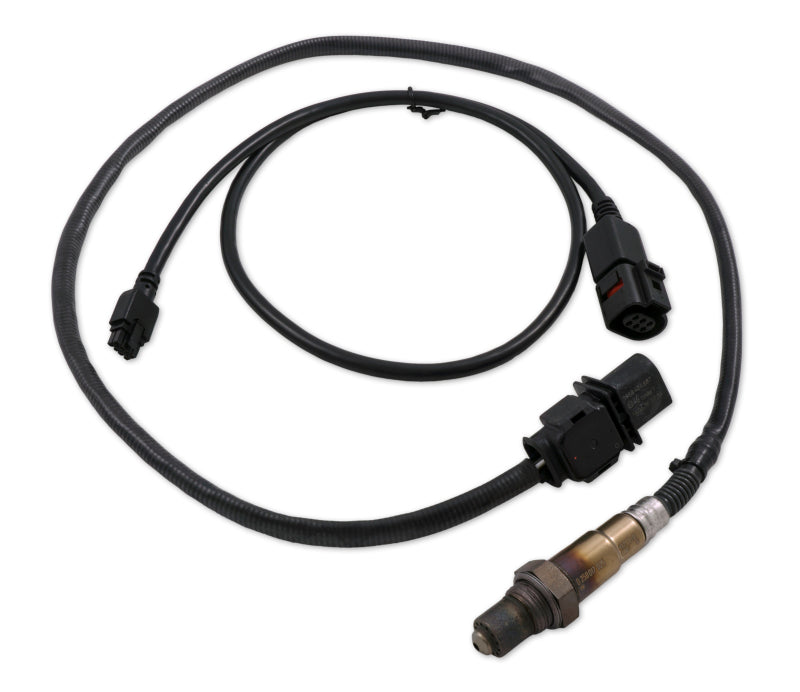 Load image into Gallery viewer, Innovate Motorsports 3896 INN Wideband Sensors
