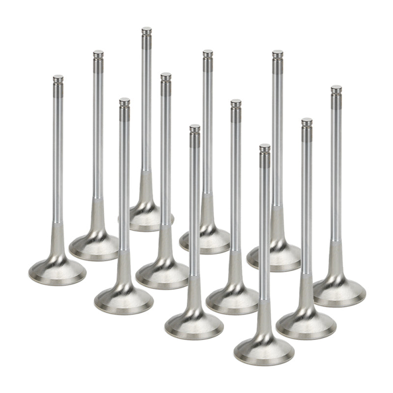 Load image into Gallery viewer, Supertech BMEVI-1054S-HS-1-12 SPT Exhaust Valves
