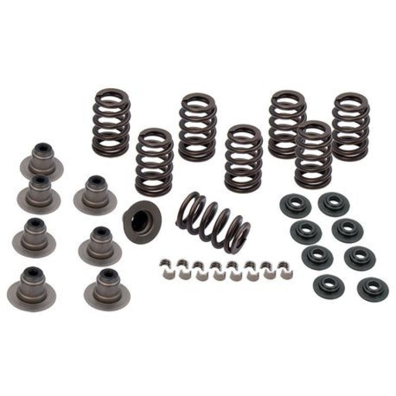Load image into Gallery viewer, S&amp;S Cycle 900-0958 SSC Valve Springs
