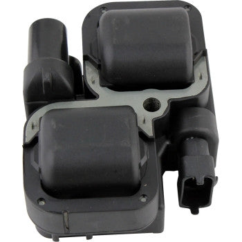 Rm Stator RMS900-106728 Ignition Coil Kit