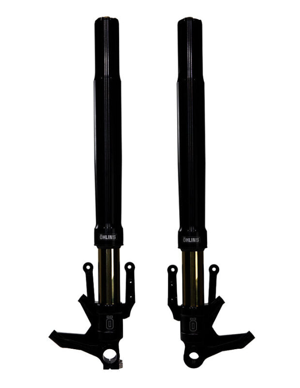 Load image into Gallery viewer, Ohlins FGRT 307 OHL FGRT 300
