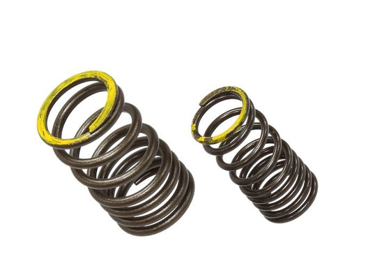 Psychic Mx XU-09563ES Exhaust Valve Spring