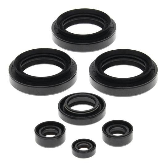 Vertex 822145 Oil Seal Kit