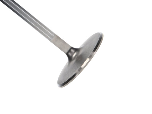Manley Performance 11644-10 MAN Race Master Valves