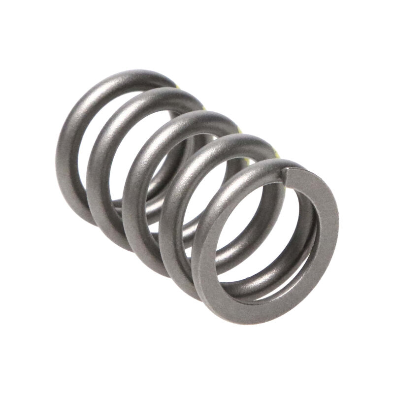 Load image into Gallery viewer, Manley Performance 22180-16 MAN Valve Spring Kits
