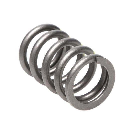 Manley Performance 22180-16 MAN Valve Spring Kits