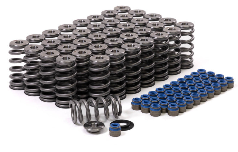 Load image into Gallery viewer, Gsc Power Division 5025 GSC Valve Spring Kits
