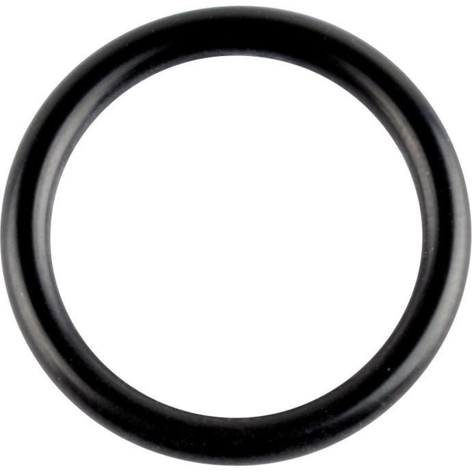 Wsm 008-600-07 Crankshaft O-Ring