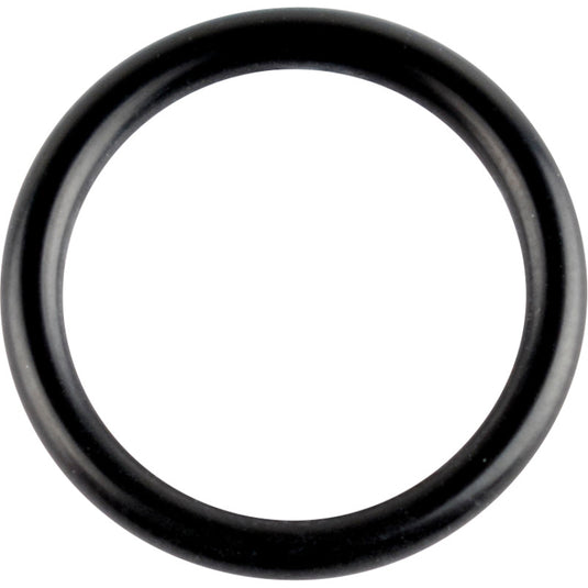 Wsm 008-600-07 Crankshaft O-Ring