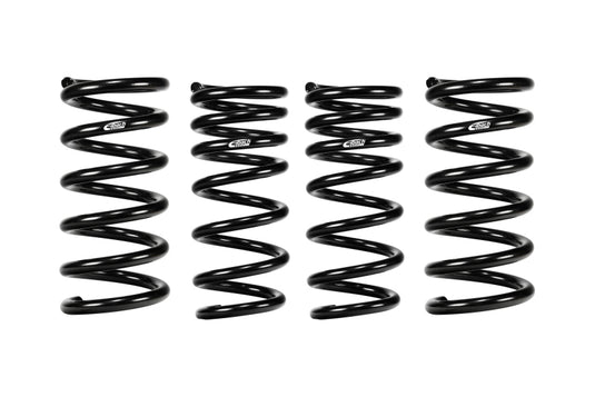 Eibach E10-63-048-01-22 EIB Pro-Kits