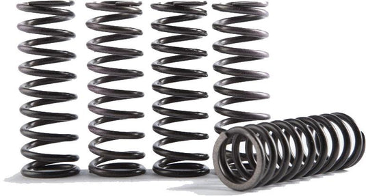 Hinson Racing CS641-6-1901 Hi-Temp Clutch Spring Kit