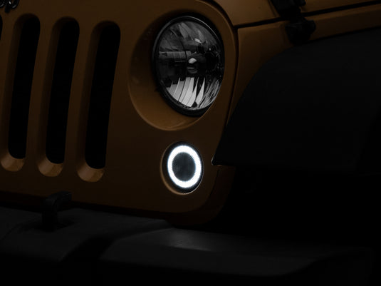 Raxiom J127017 RAX Turn Signals