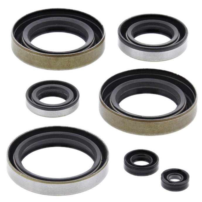 Vertex 822102 Oil Seal Kit