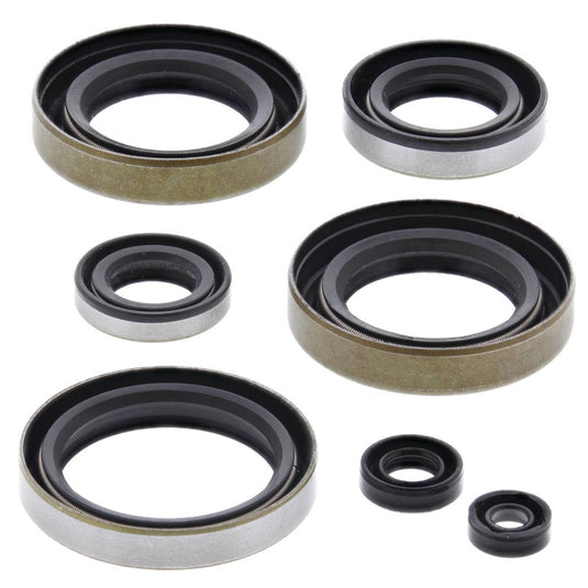 Vertex 822102 Oil Seal Kit