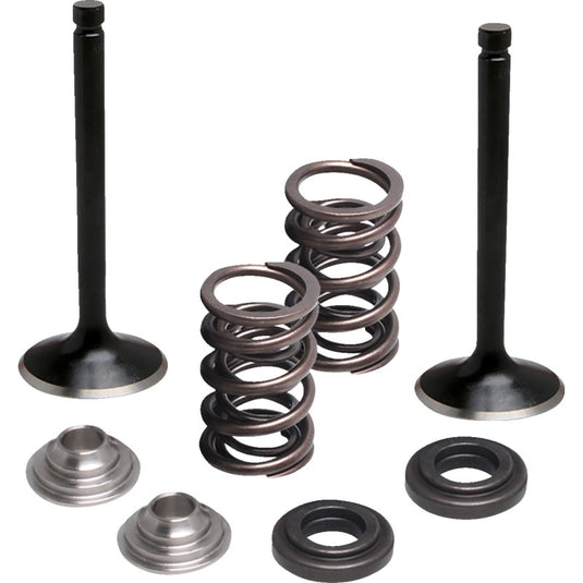 Moose Offroad M80-83060 Stainless Valve and Spring Kit - Exhaust