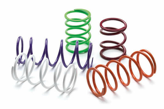 Epi BCS20 EPI Clutch Springs