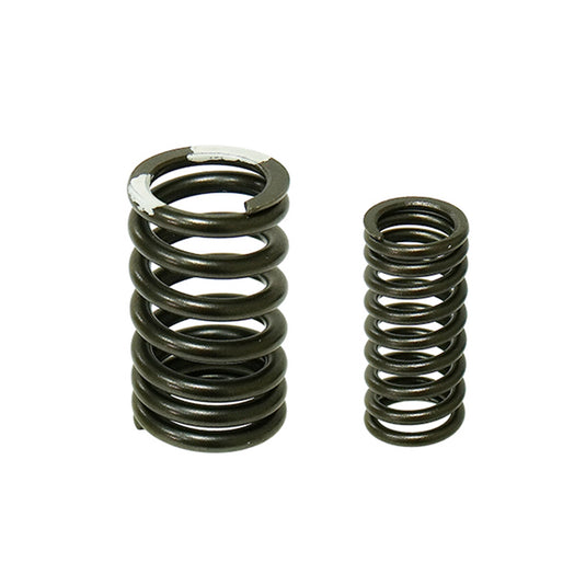 Psychic Mx XU-09557S Intake And Exhaust Valve Springs