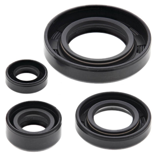 Vertex 822195 Oil Seal Kit