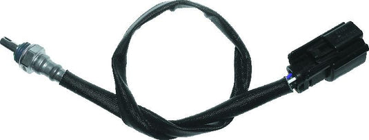 Twinpower 484907 TWP Sensors C