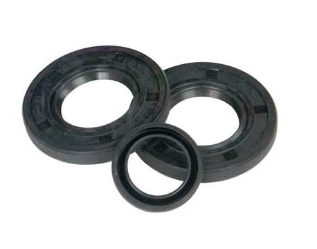 Wsm 009-730-01 Driveshaft/Jet Pump Seal