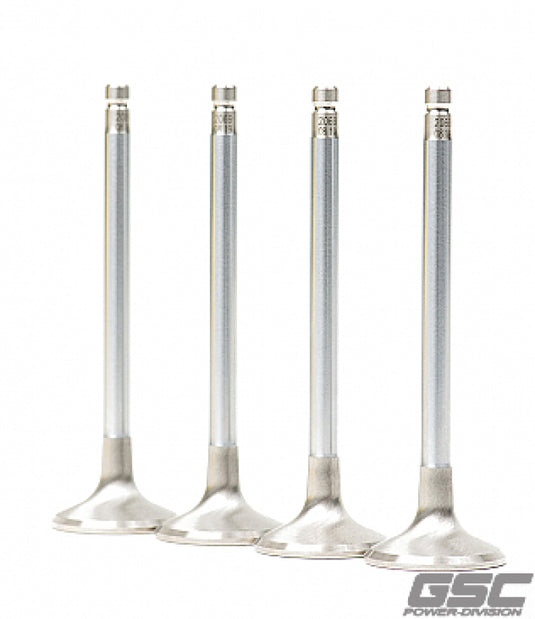 Gsc Power Division 2069-01 GSC Exhaust Valves +1mm