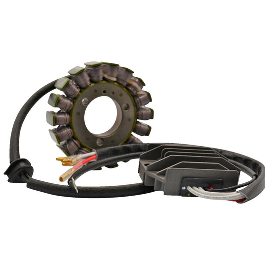 Ricks Motorsport Electric 14-99-200H Lithium-Ion Charging Kit - Kawasaki