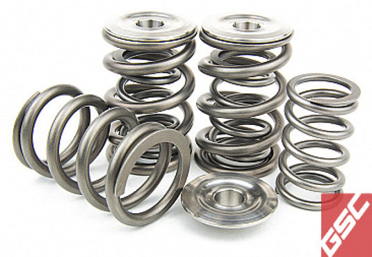 Gsc Power Division 5256 GSC Valve Spring Kits