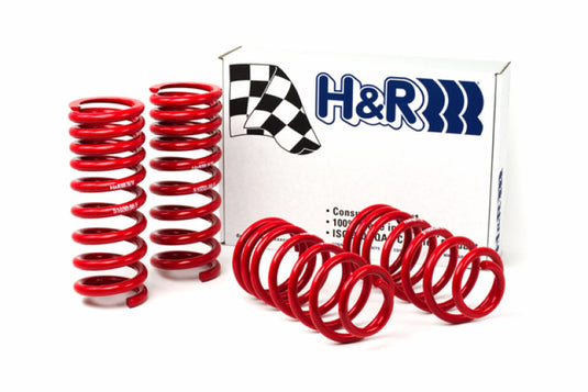 H&R 51650-88 HR Race Springs