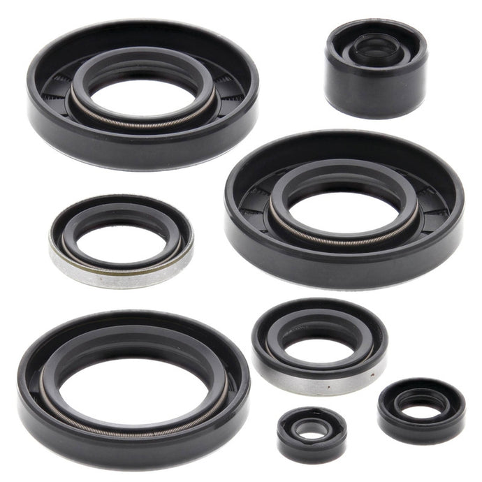 Vertex 822293 Oil Seal Kit
