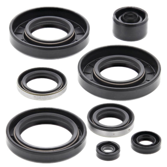 Vertex 822293 Oil Seal Kit